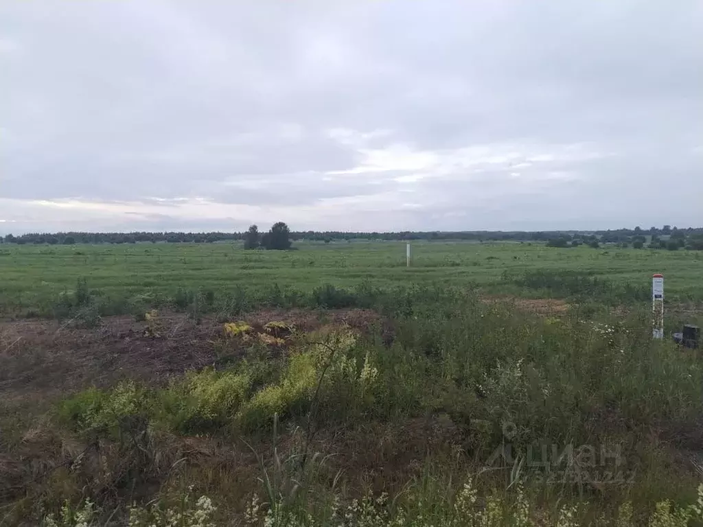 Участок в Ярославская область, Борисоглебский муниципальный округ, ... - Фото 0