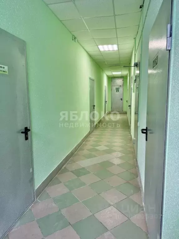 Помещение свободного назначения в Пермский край, Усолье Усольский ... - Фото 1