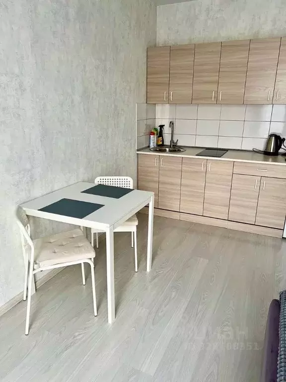 Студия Новосибирская область, Новосибирск Обская ул., 46/2 (26.0 м) - Фото 1