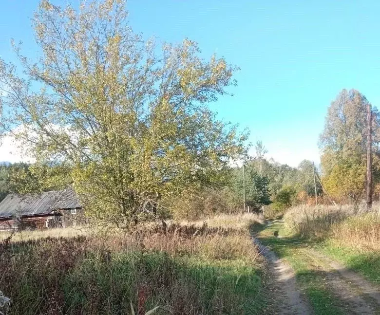 Участок в Тверская область, Кашинский муниципальный округ, д. Рагузино ... - Фото 2