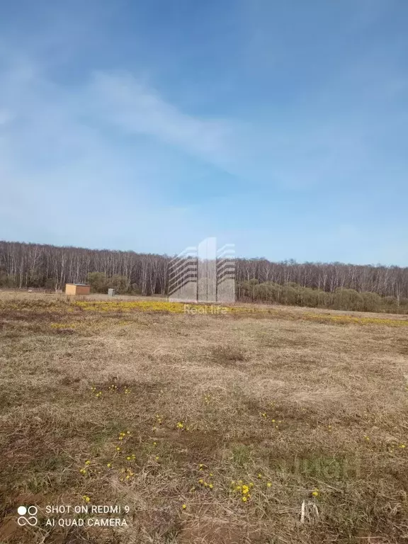Участок в Московская область, Ступино городской округ, Лисичкино СНТ ... - Фото 2