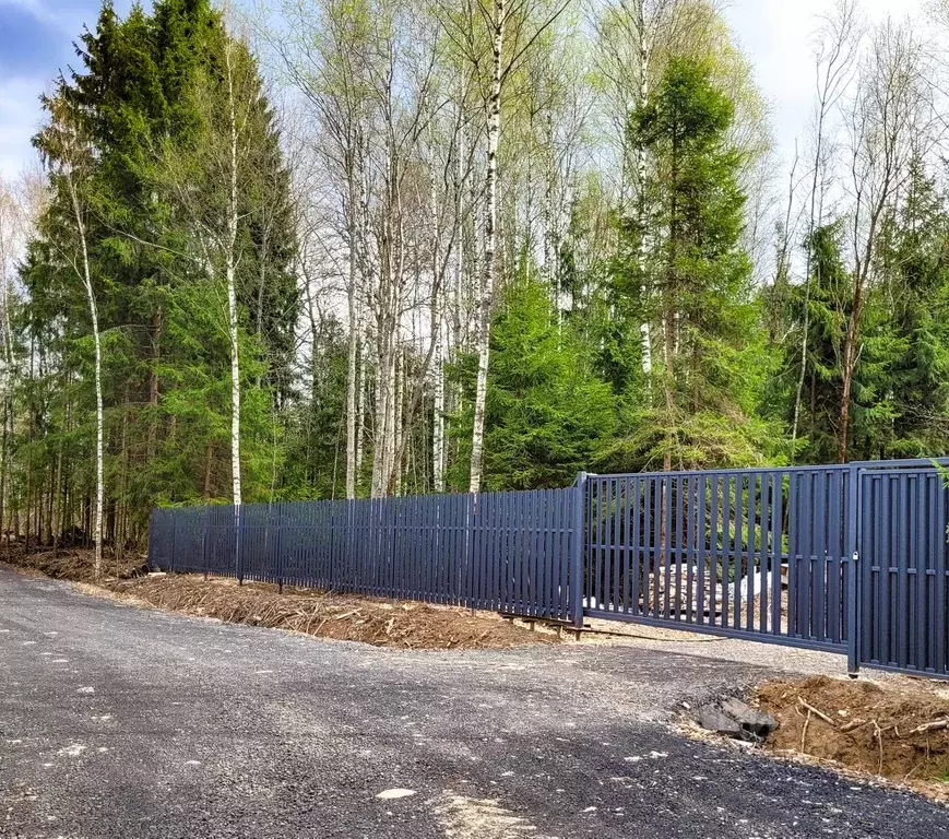 Участок в Московская область, Дмитровский муниципальный округ Русская ... - Фото 1