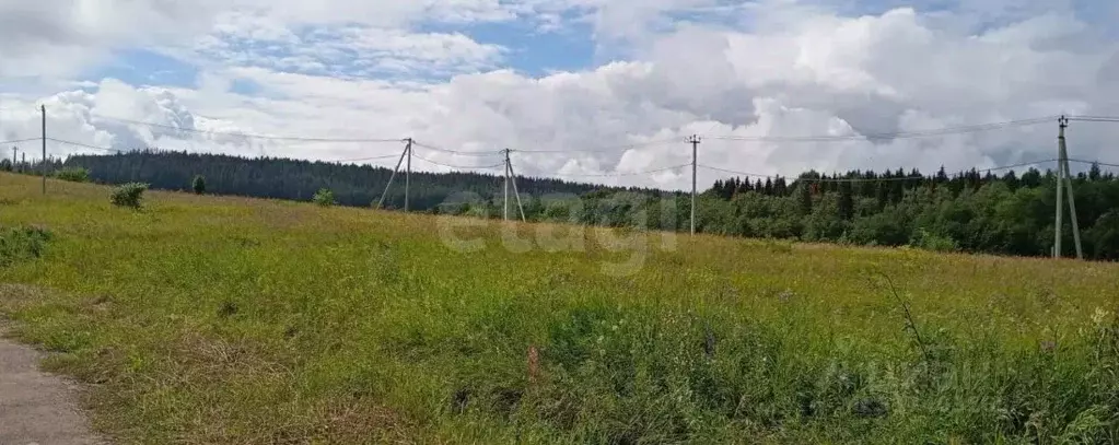 Участок в Пермский край, д. Ложки ул. Ключевая (14.0 сот.) - Фото 1