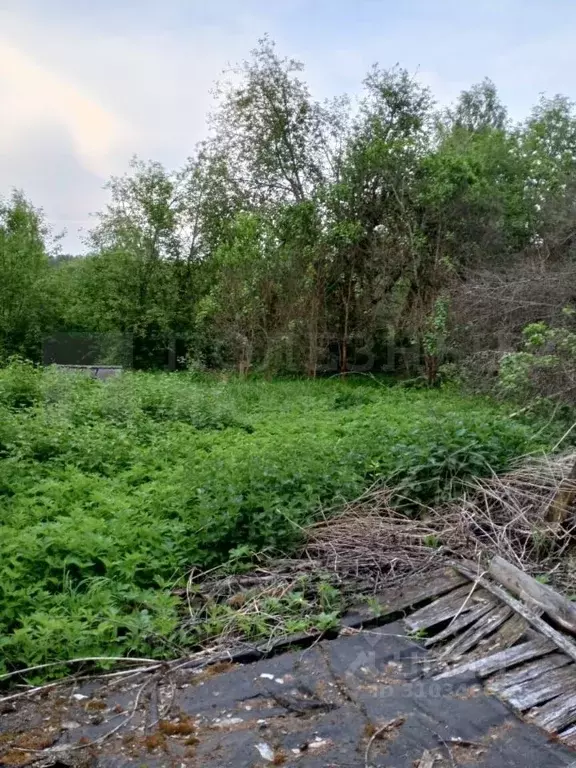 Участок в Новгородская область, Любытино пгт ул. Садовая (15.2 сот.) - Фото 1