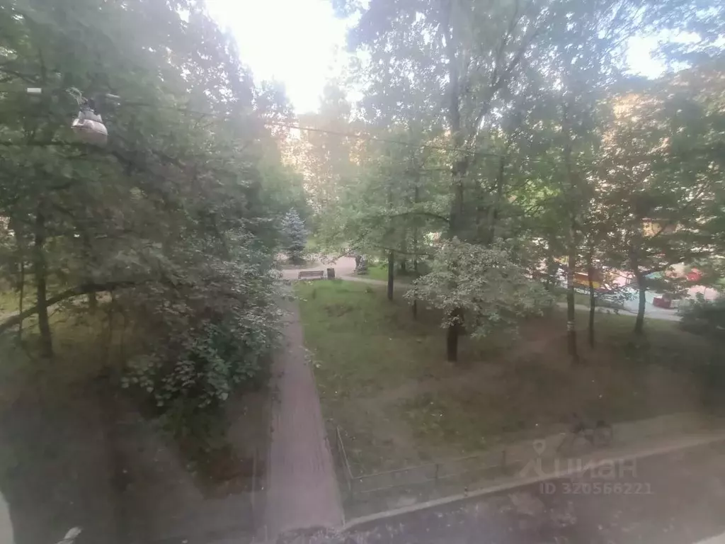 Комната Санкт-Петербург Алтайская ул., 4 (20.4 м) - Фото 2