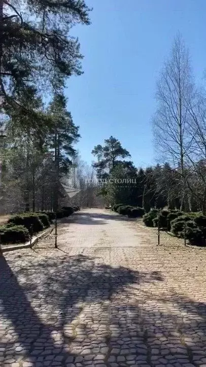 Участок в Московская область, Ленинский городской округ, д. Жабкино ... - Фото 1