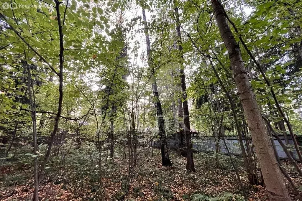 Участок в деревня Жуковка, КП Жуковка-21 (24 м) - Фото 2