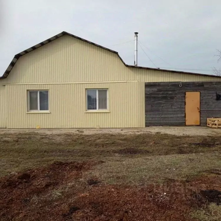 Дом в Амурская область, Белогорский муниципальный округ, с. Амурское ... - Фото 2