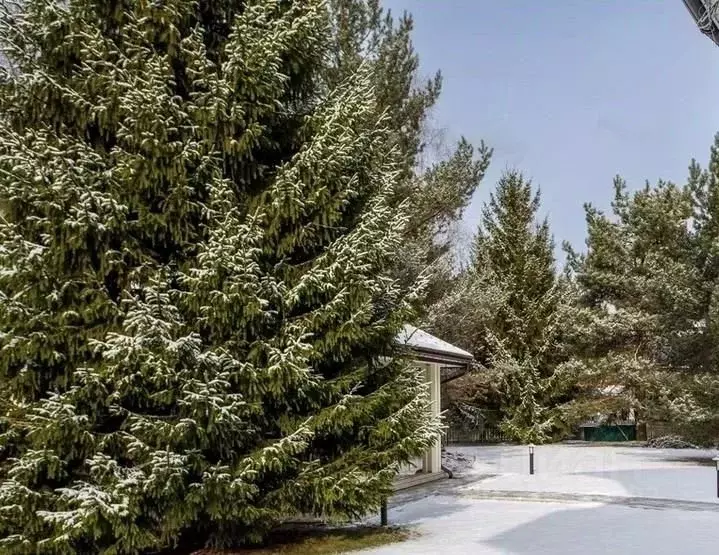 Участок в Московская область, Истра муниципальный округ, д. Чесноково ... - Фото 1