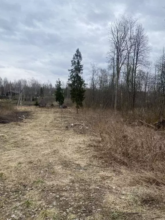 Участок в Московская область, Талдомский городской округ, д. Маклаково ... - Фото 0