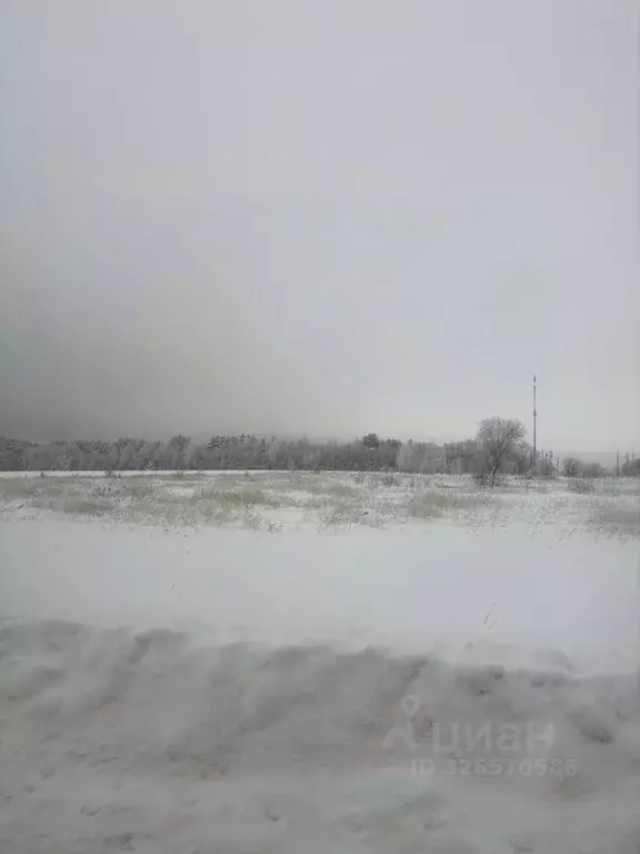 Участок в Московская область, Ступино городской округ, д. Зевалово ул. ... - Фото 1