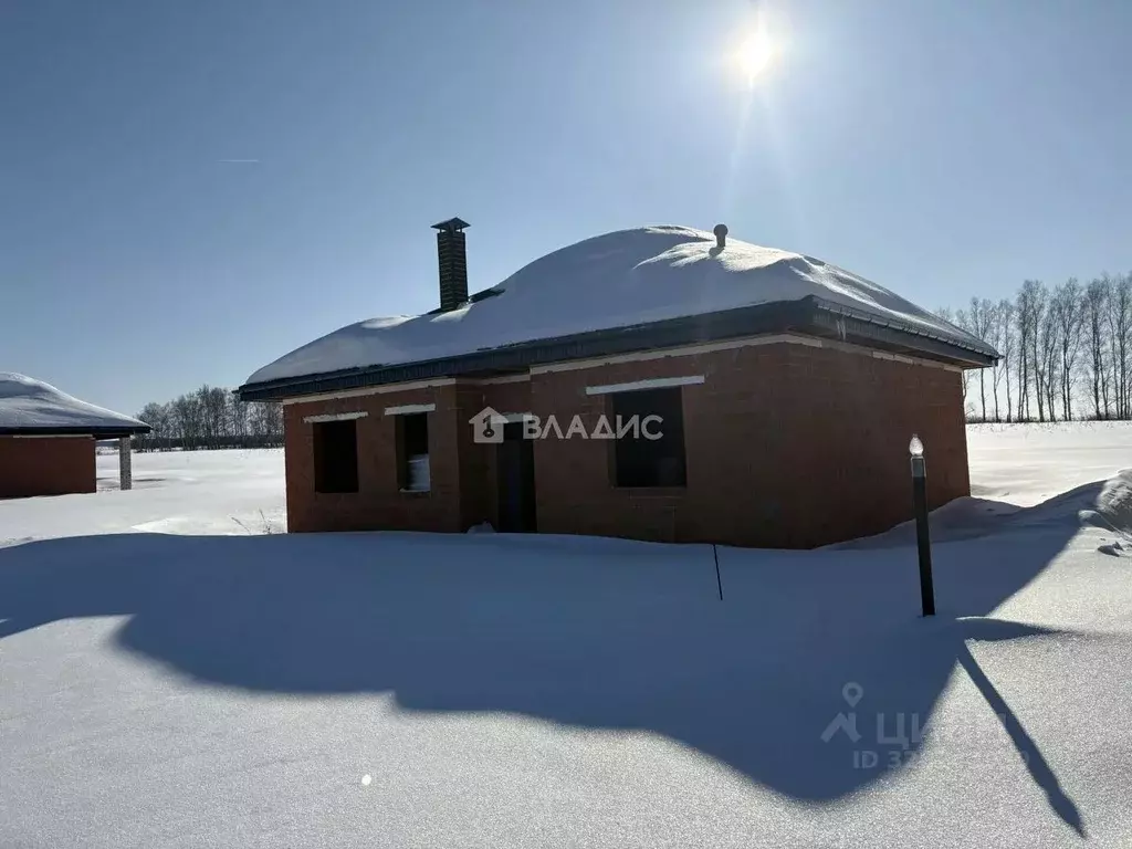 Дом в Нижегородская область, Нижний Новгород с. Вязовка, ул. ... - Фото 1