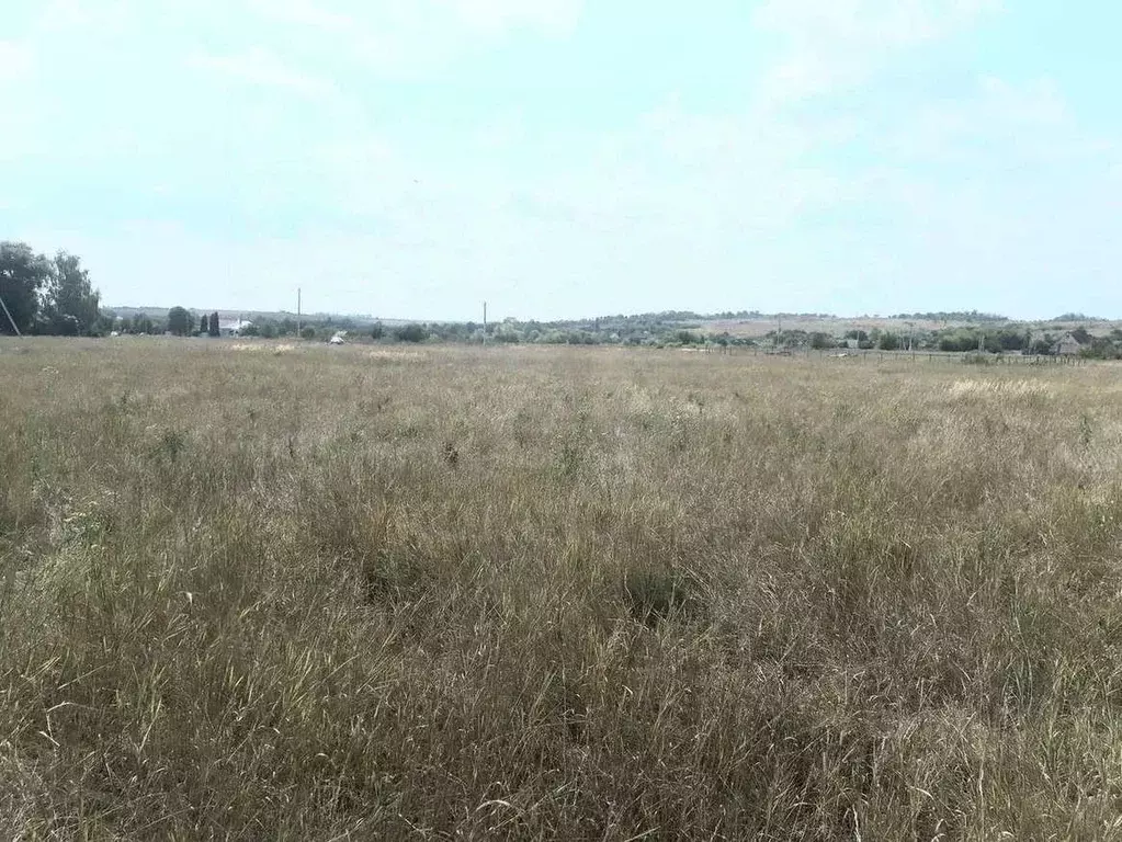 Участок в Воронежская область, Хохольский район, с. Гремячье Садовая ... - Фото 1