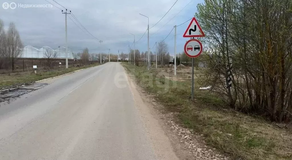 Участок в Тульская область, городской округ Алексин, село Абрютино (14 ... - Фото 2