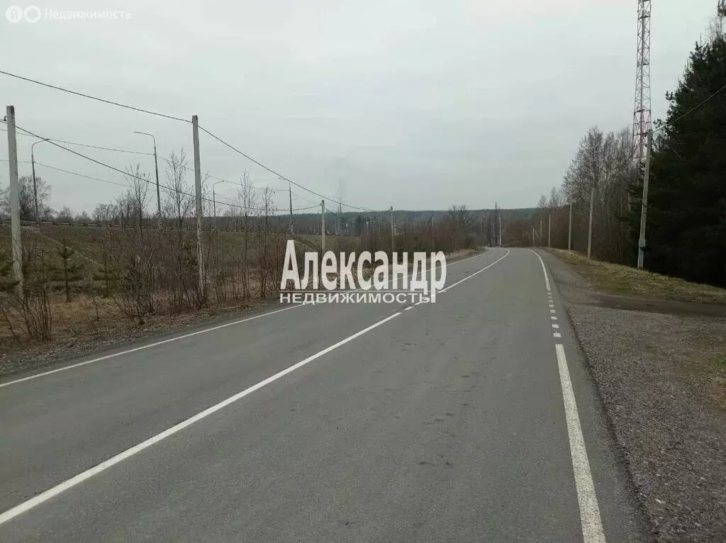 Дом в Приозерский район, Ромашкинское сельское поселение, посёлок ... - Фото 0
