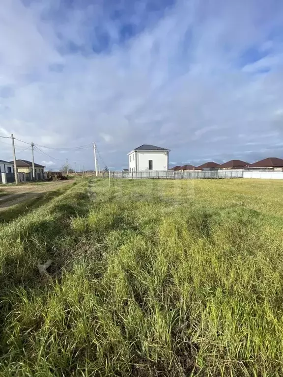 Участок в Краснодарский край, Темрюк Веселая ул. (5.83 сот.) - Фото 2