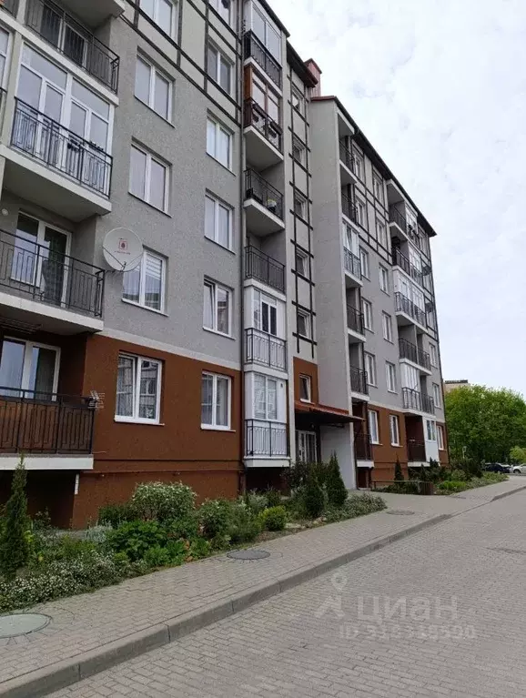 Студия Калининградская область, Светлогорск Тихая ул., 8 (24.1 м) - Фото 1