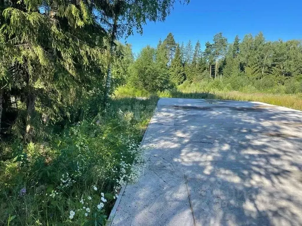 Участок в Московская область, Одинцовский городской округ, д. Клопово ... - Фото 1