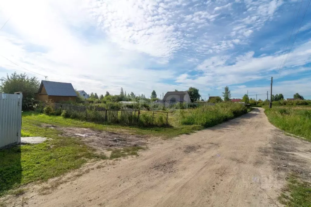 Участок в Тюменская область, Тюмень Садовое товарищество Липовый ... - Фото 1
