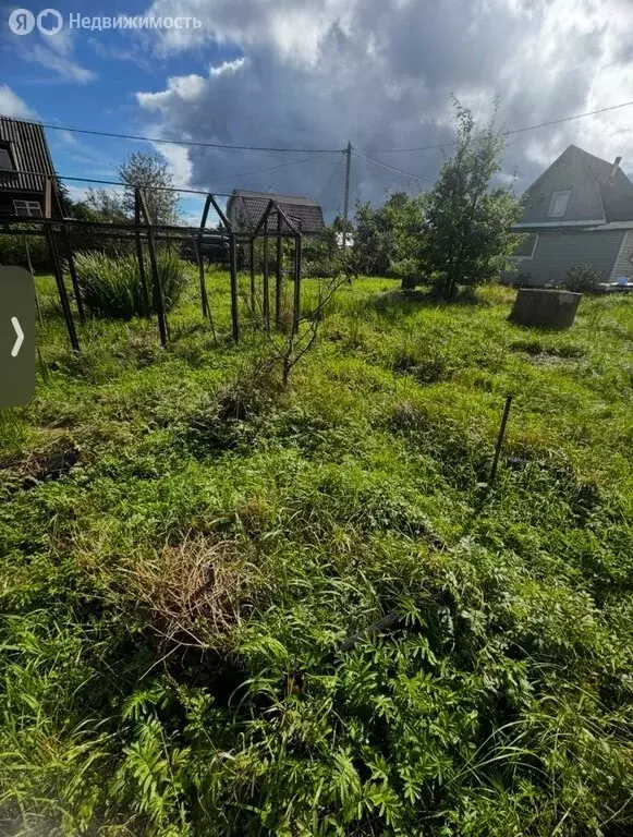 Участок в Рахьинское городское поселение, садоводческий массив ... - Фото 0