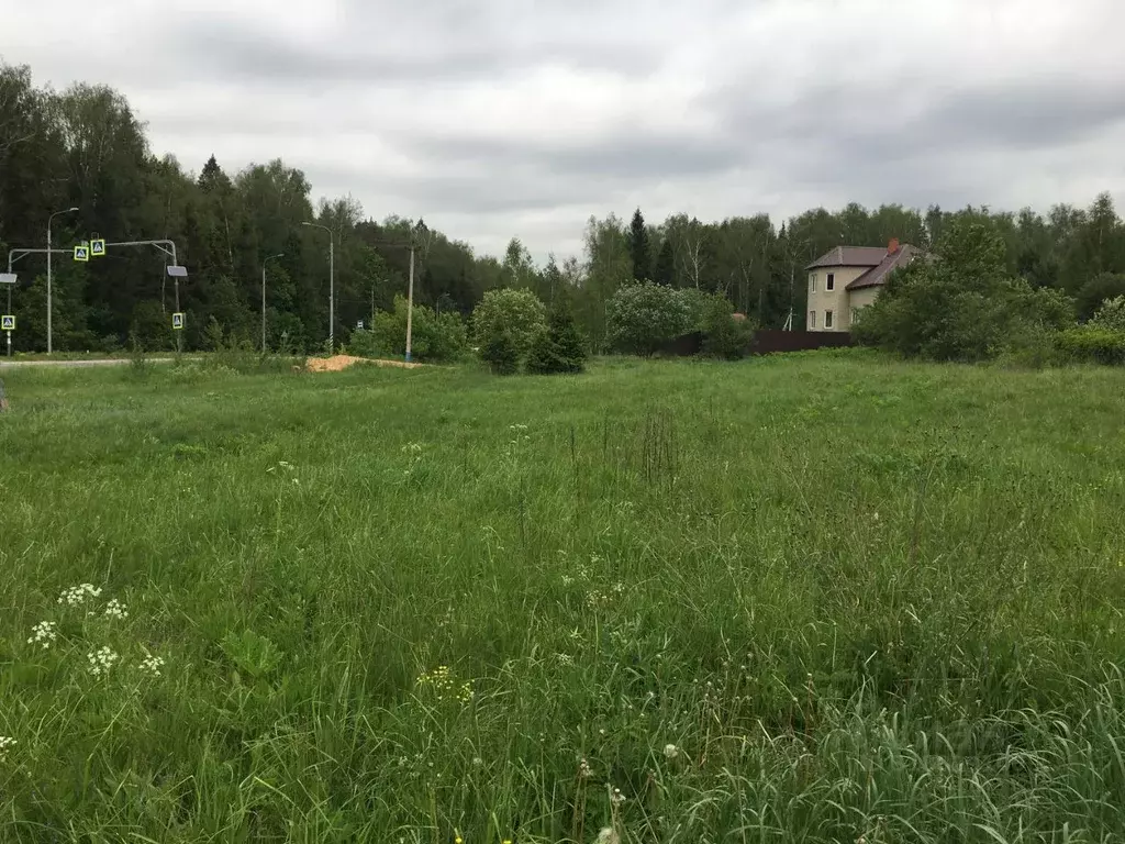 Участок в Московская область, Пушкинский городской округ, д. Дарьино  ... - Фото 0