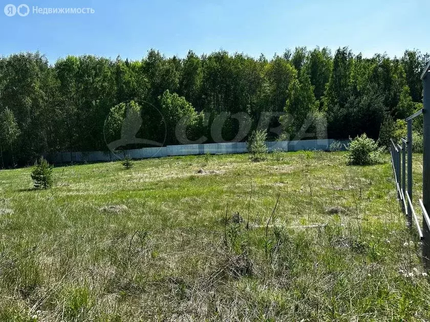 Участок в Тюменский район, село Кулига (15 м) - Фото 0