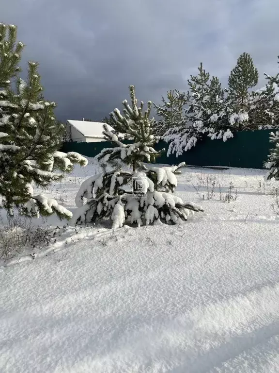 Участок в Калужская область, Дзержинский муниципальный округ, с. ... - Фото 2