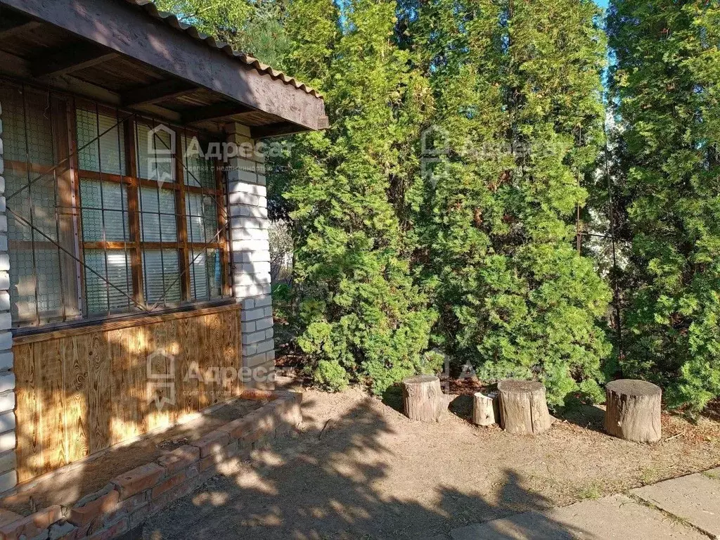 Дом в Волгоградская область, Волгоград Дружба Береславка СНТ,  (35 м) - Фото 0