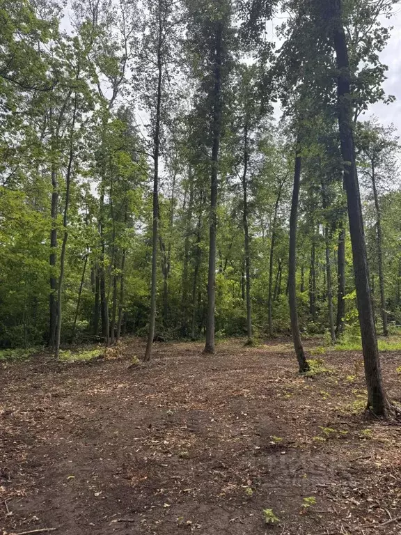 Участок в Самарская область, Самара  (5.0 сот.) - Фото 2