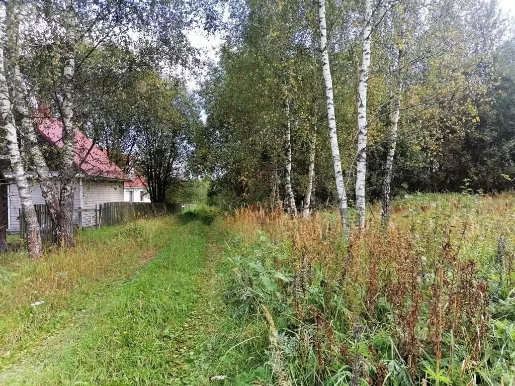 Участок в Владимирская область, Киржачский муниципальный округ, д. ... - Фото 1