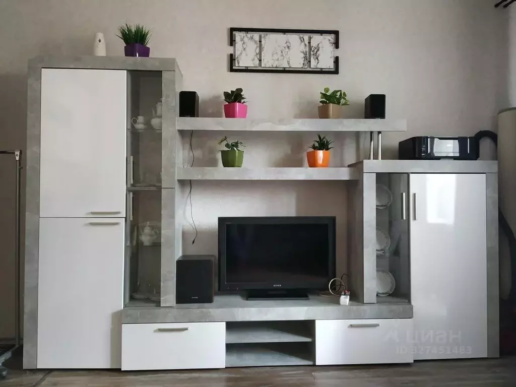 Студия Санкт-Петербург пос. Шушары, Московское ш., 250к2 (24.6 м) - Фото 2