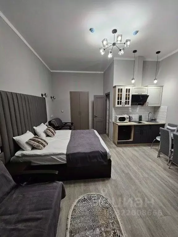 1-к кв. Ставропольский край, Кисловодск Седлогорская ул., 106 (23.0 м) - Фото 1