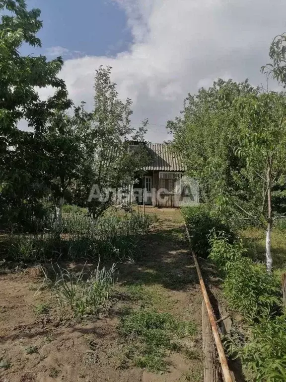 Участок в Ростовская область, Белая Калитва БКМПО-1 садоводческое ... - Фото 2