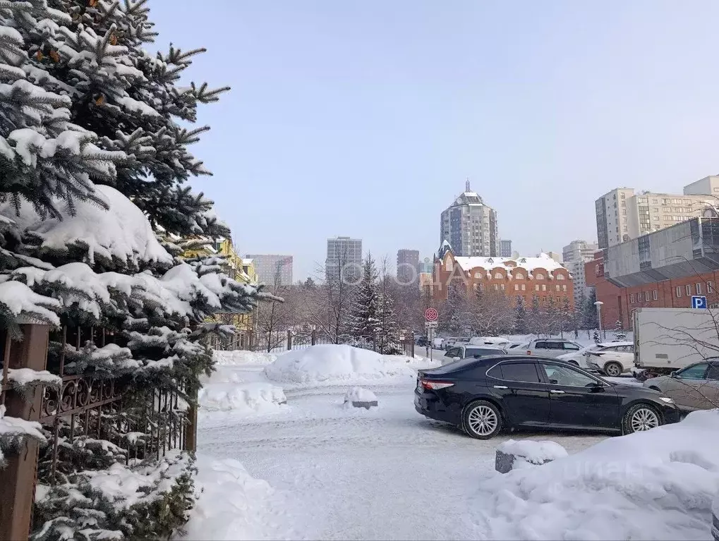 Офис в Новосибирская область, Новосибирск ул. Шевченко, 15 (134 м) - Фото 1