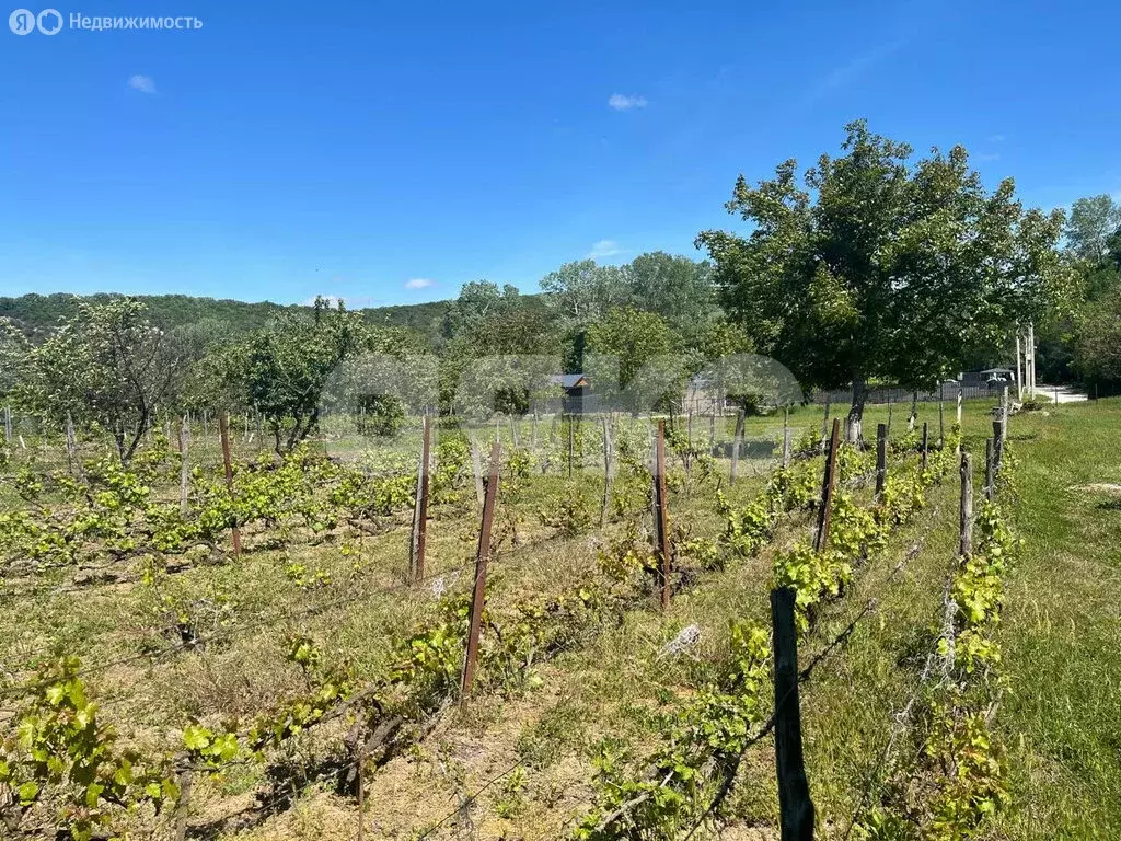 Дом в село Сукко, Советская улица, 62 (57 м) - Фото 1