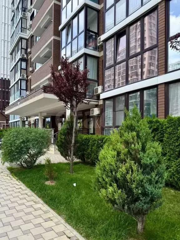 Помещение свободного назначения в Краснодарский край, Анапа Анапское ... - Фото 0