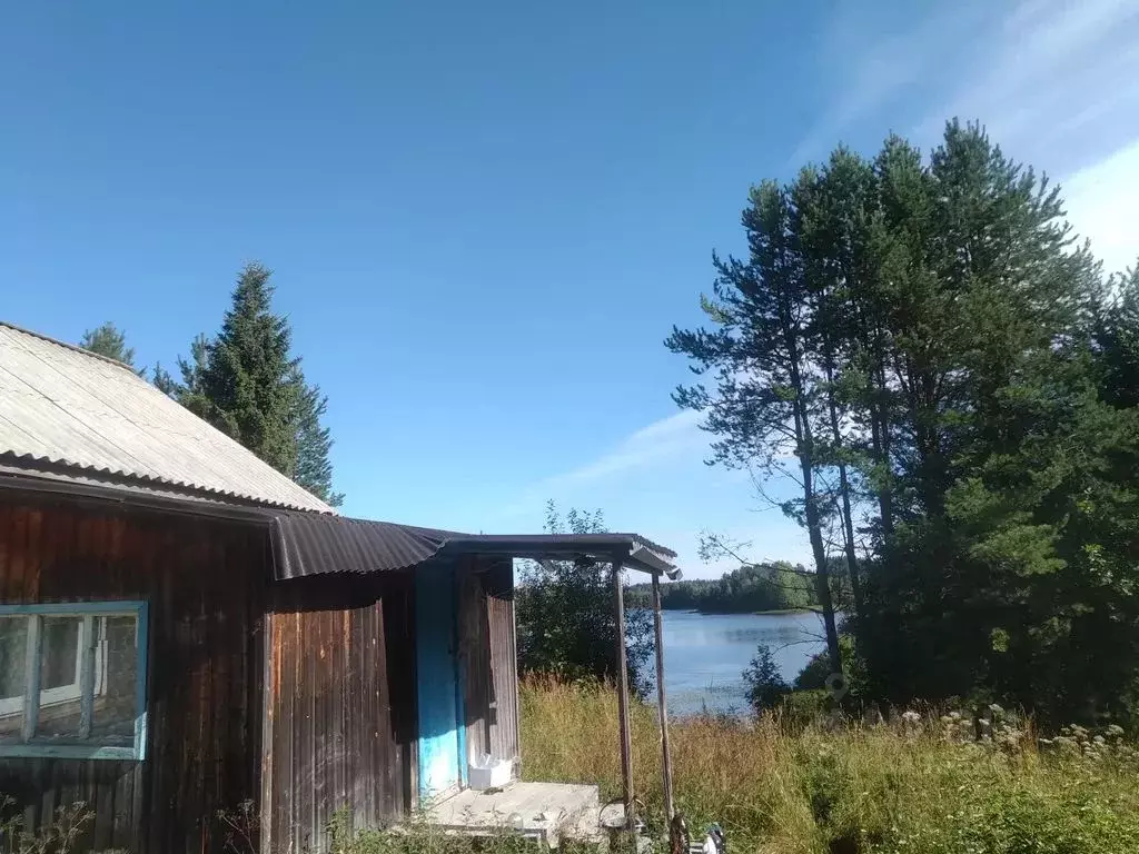 Дом в Карелия, Беломорский муниципальный округ, д. Лапино  (36 м) - Фото 2