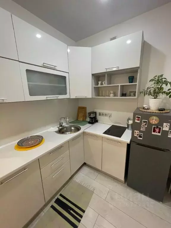 Студия Алтай, Майминский район, с. Майма Спортивный пер., 13Б (21.1 м) - Фото 2