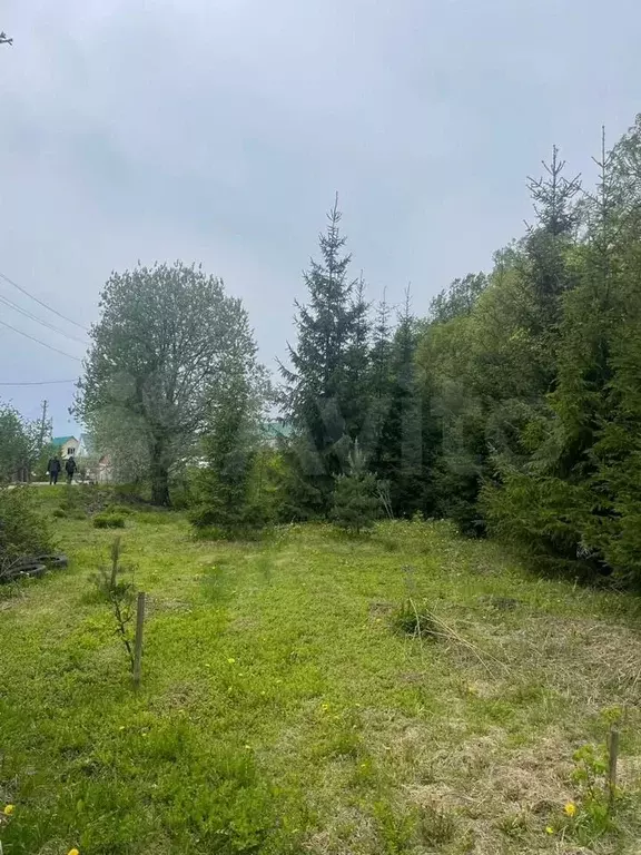 Участок 4,9 сот. (ИЖС) - Фото 0