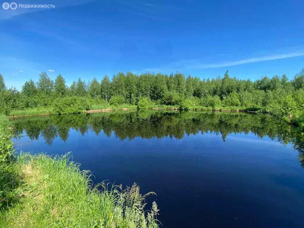 Участок в Свердловская область, городской округ Верхняя Пышма, посёлок ... - Фото 0