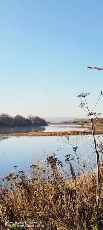 Участок в Пермский край, Чусовской муниципальный округ, д. Копально ... - Фото 1