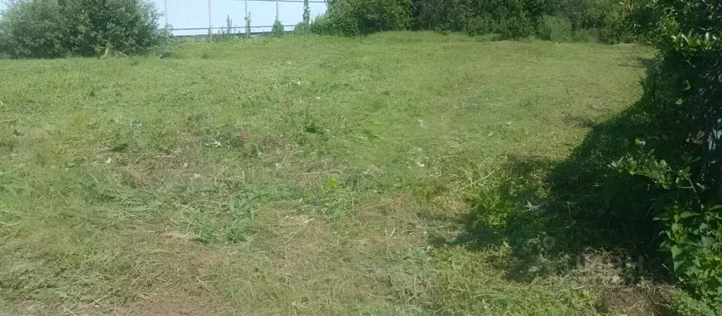 Участок в Московская область, Пушкинский городской округ, Простор ... - Фото 2