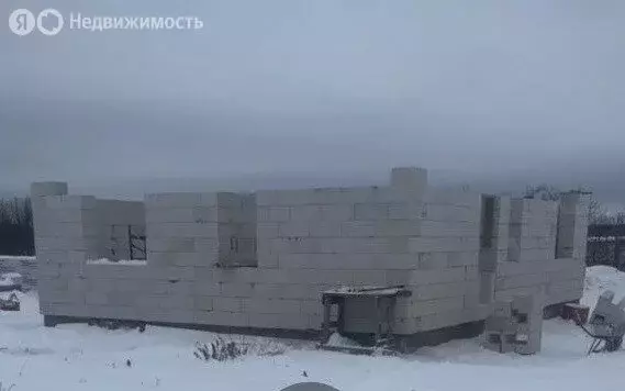 Дом в Камешковский район, муниципальное образование Пенкинское, село ... - Фото 1