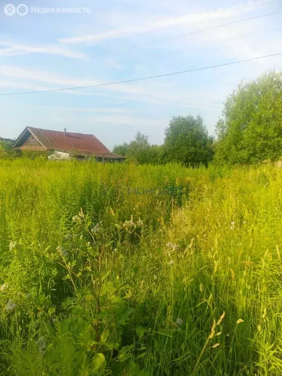 Участок в деревня Бугры, 51 (16.5 м) - Фото 1