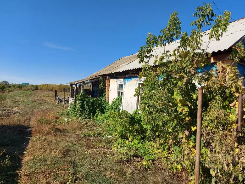 Дом в Оренбургская область, Сакмарский район, с. Донское Центральная .,  Купить дом Донское, Сакмарский район, ID объекта - 50010884636