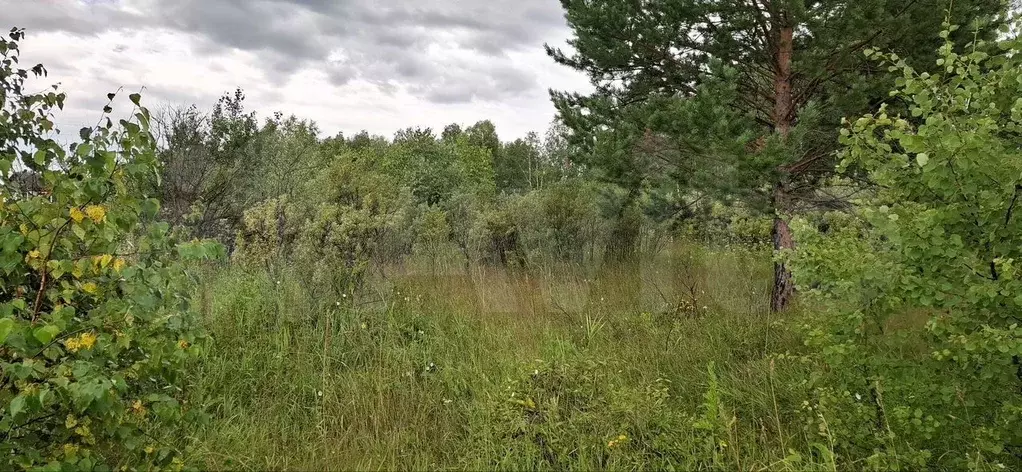 Участок 6 сот. (СНТ, ДНП) - Фото 1