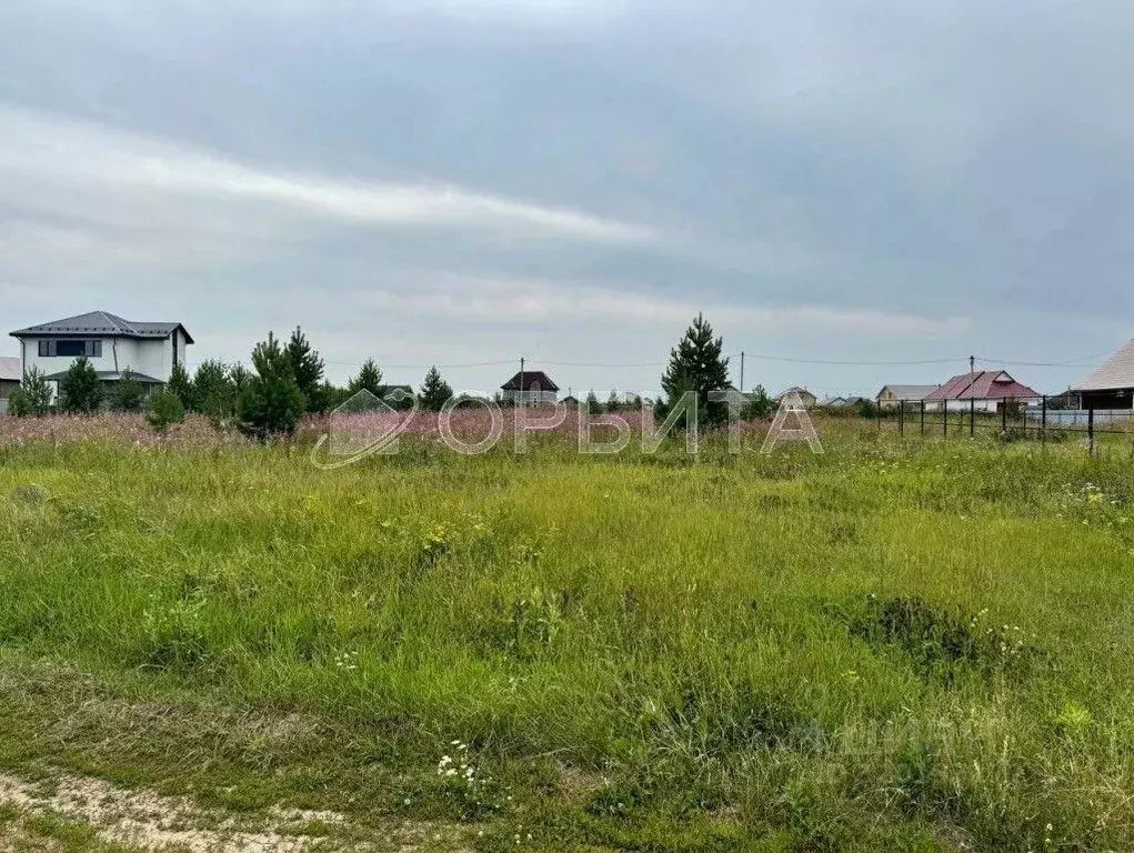 Участок в Тюменская область, Тюменский район, Кулаковское ... - Фото 0