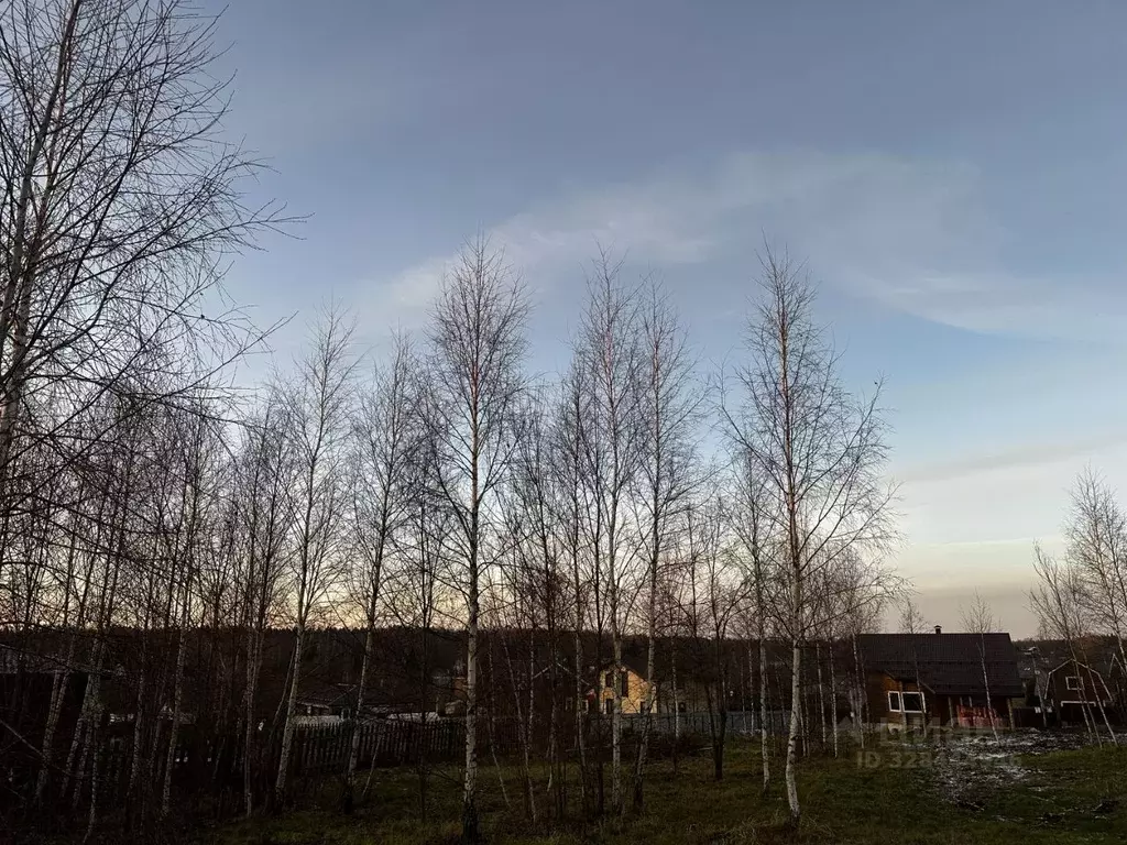 Участок в Московская область, Истра муниципальный округ, Снегири пгт ... - Фото 2