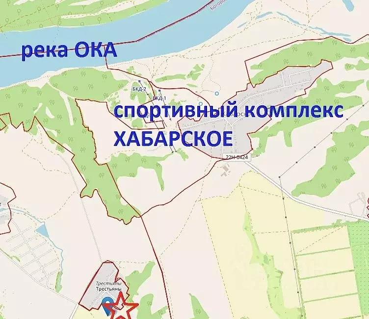 Участок в Нижегородская область, Богородский муниципальный округ, д. ... - Фото 2