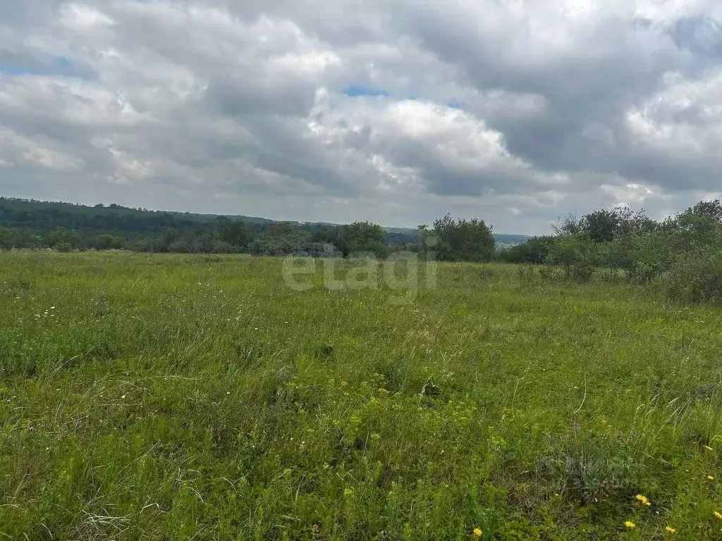 Участок в Белгородская область, Белгородский район, Бессоновское ... - Фото 0
